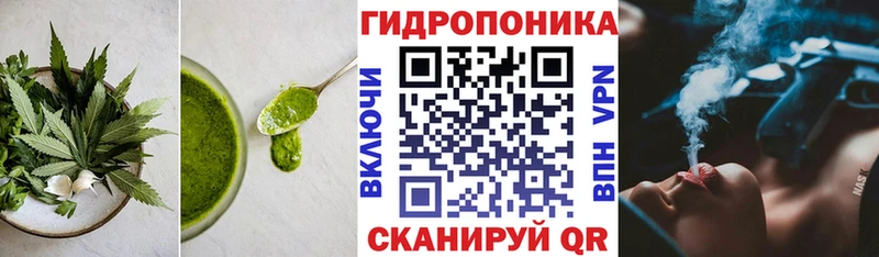 Cannafood конопля  Котельники 