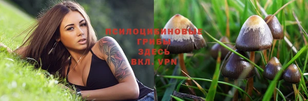 MDMA Premium VHQ Богородицк
