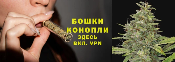 эйфоретик Богданович