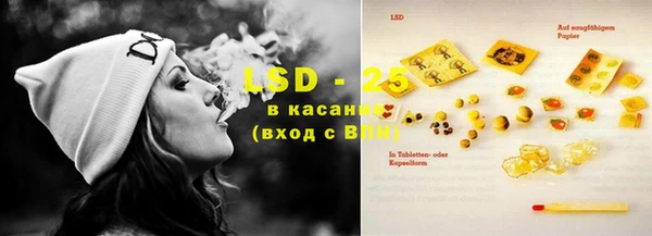 эйфоретик Богданович