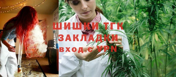 эйфоретик Богданович