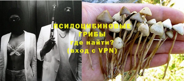 MDMA Богородск