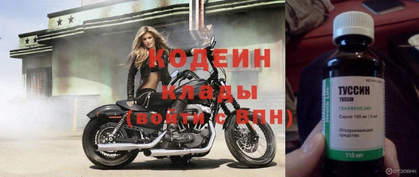 эйфоретик Богданович