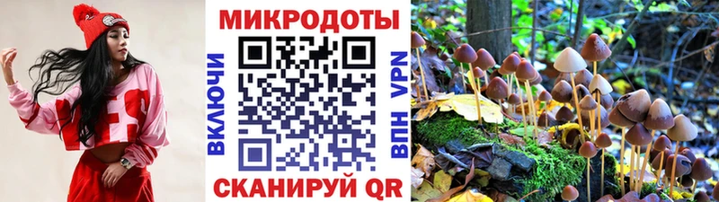 Псилоцибиновые грибы мицелий Котельники